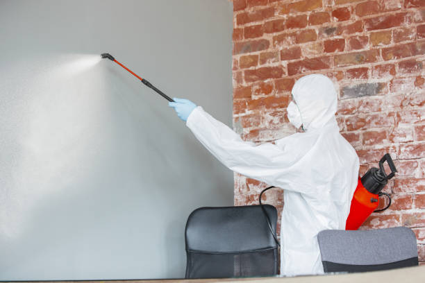 Best Airborne Mold Testing  in Plains, KS