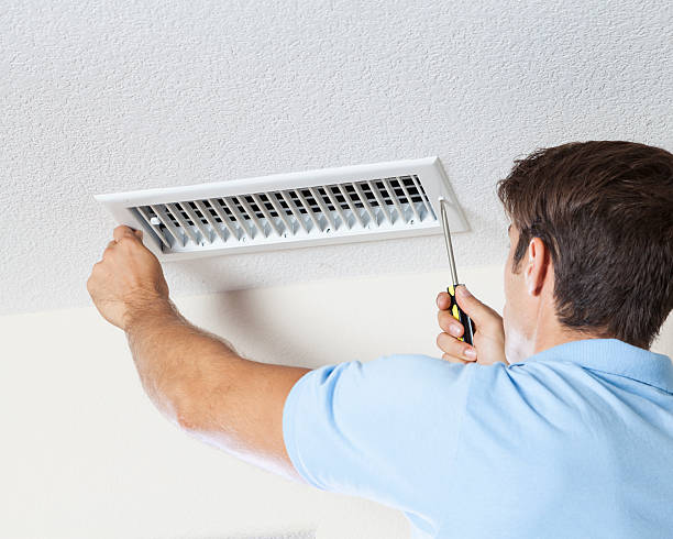 Best Attic Mold Removal  in Plains, KS